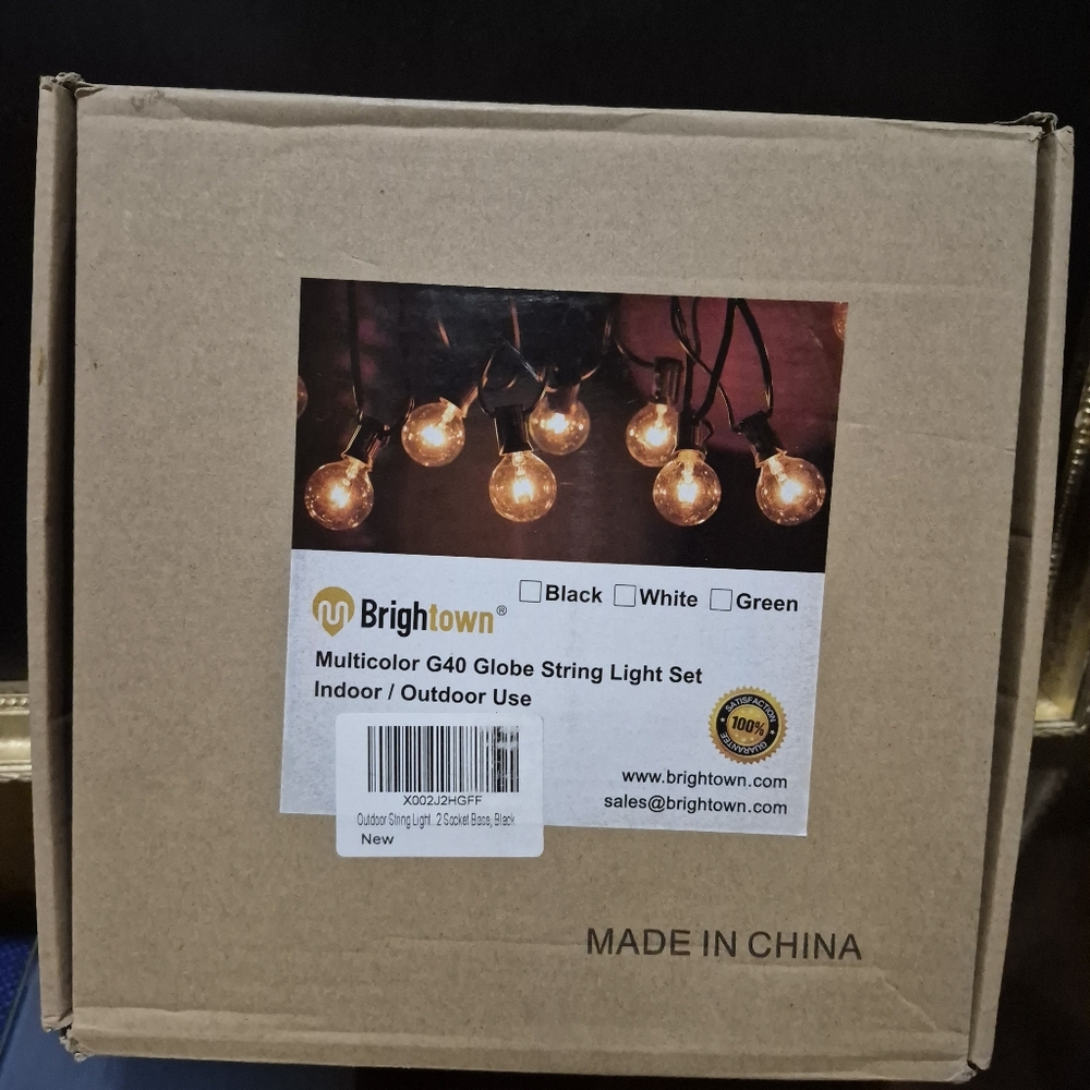 Brighton Multicolor G40 Globe String Lights